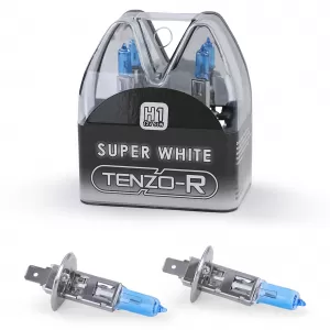 H1 55W 12 Volt Super White Leuchtmittel Birnen Lampen 2 Stück ZUGELASSEN !!