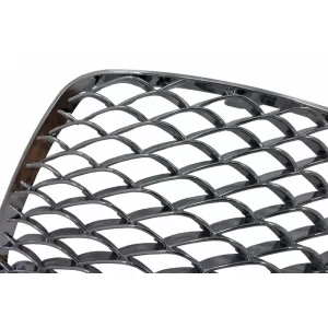 Grille Inférieure de Pare-chocs pour Mercedes S-Clase W222 13-17 Calandre Chrome--image-6054016