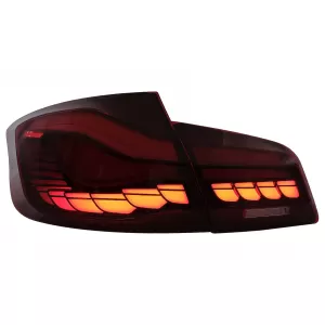 OLED hátsó lámpa BMW 5 F10 (2011-2017) piros-átlátszó dinamikus irányjelzővel-image-6096134
