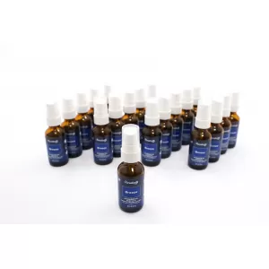 Paradise Air Fresh Atomiseur Huile Air Spray 25 ml Breeze 25 Unités Diffuseur d'arômes-image-6098563
