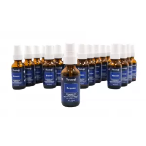 image-11-paradise osvezivac vazduha Atomizer ulje osvezivac vazduha za auto sprej 25 ml breeze 25 jedinica Aroma difuzor