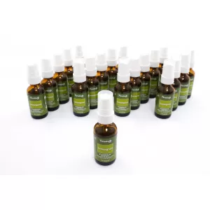 Paradise Air Fresh Atomiseur Air Spray 25 ml Citronnelle 25 Unités Diffuseur d'Arôme-image-6098583