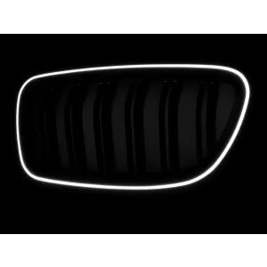 Central Kidney Grilles with LED suitable for BMW 5 Series F10 F11 (2010-2017) Double Stripe