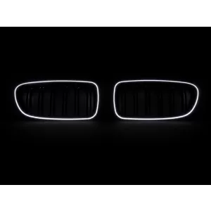 Central Kidney Grilles with LED suitable for BMW 5 Series F10 F11 (2010-2017) Double Stripe