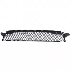 Radiator grille mesh in bumper for Mercedes CLS C218 X218 11-14 with AMG package