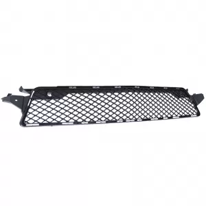 Radiator grille mesh in bumper for Mercedes CLS C218 X218 11-14 with AMG package