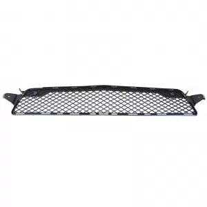 Radiator grille mesh in bumper for Mercedes CLS C218 X218 11-14 with AMG package