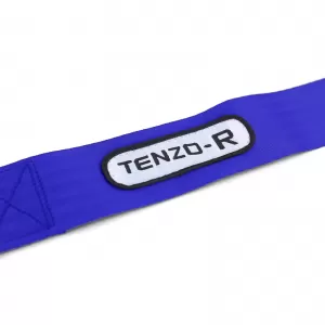 Tenzo-R Sport Harness Belt Safety Belt 3 Point Blue with E Mark