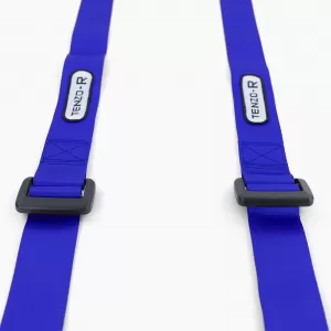 Tenzo-R Sport harness belt safety belt 4-point blue with E mark