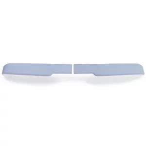 Sport roof spoiler rear spoiler with ABE for VW Bus T6 T6.1 with rear doors