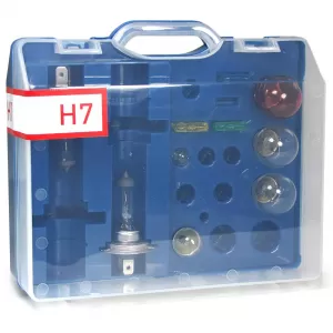 Car 12 Volt H7 S25 G18 T10 Bulbs and Fuses Box Set 10-piece