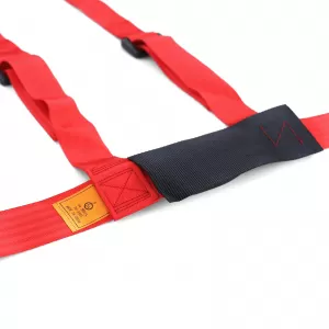 Tenzo-R Sport Harness Belt 4 Point Red with E Mark