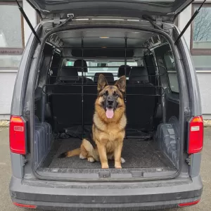 RAMROXX dog guard luggage barrier up to 140cm high for VW Caddy 2004-2025