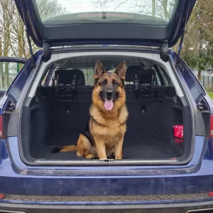 RAMROXX dog guard safety barrier luggage partition adjustable universal