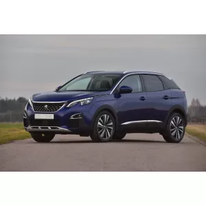 Protezione paraurti posteriore Avisa adatta per Peugeot 3008 dopo il 2016, laccato nero-image-6211879