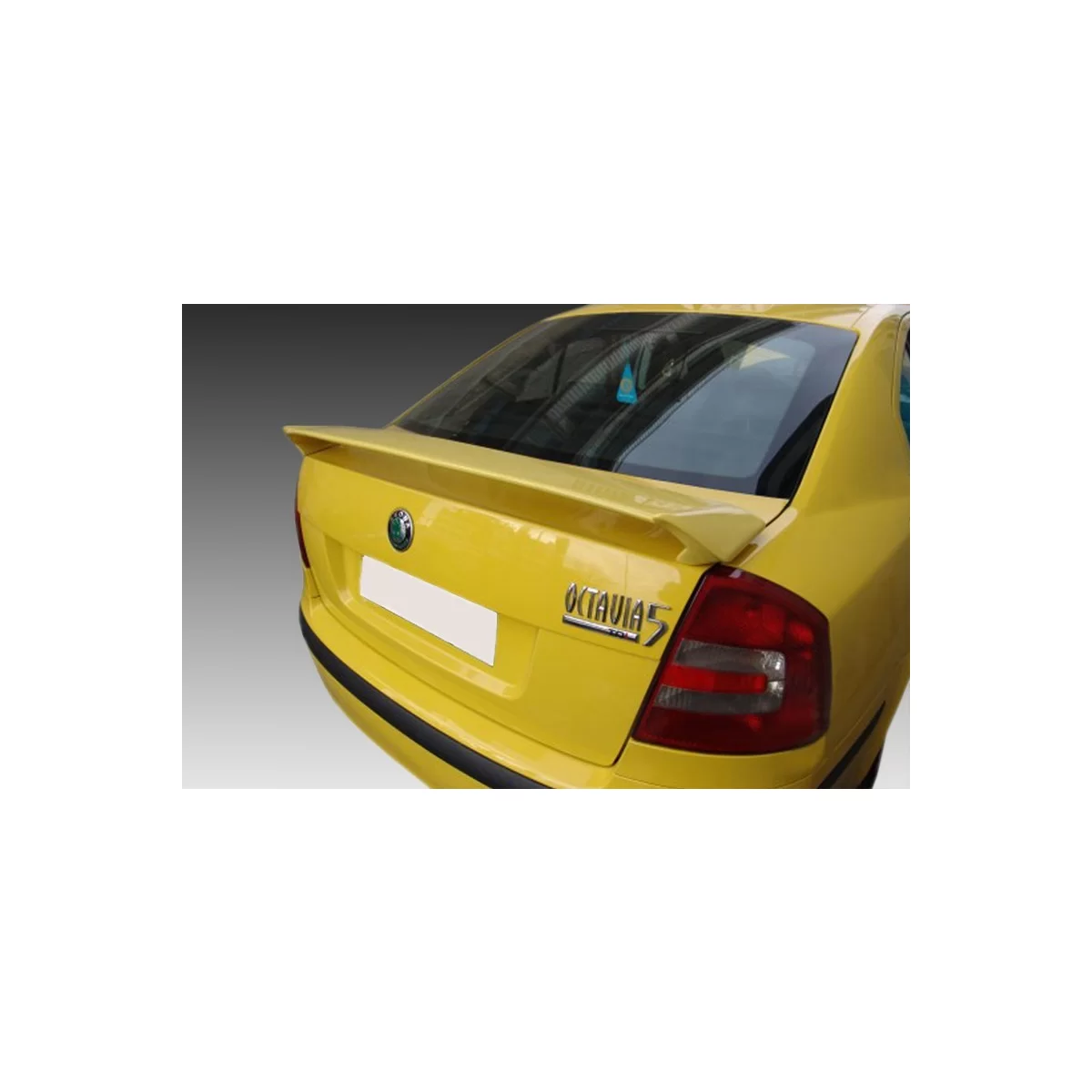 modal-image-6230004