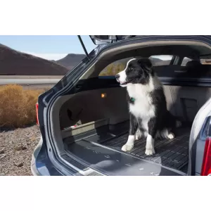 Frogum ProLine rubber trunk mat suitable for Skoda Kodiaq after 2016 5 seats