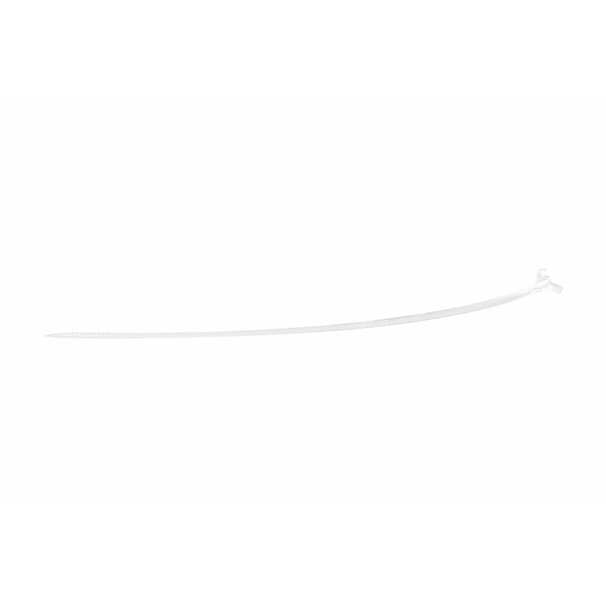 image-6237487