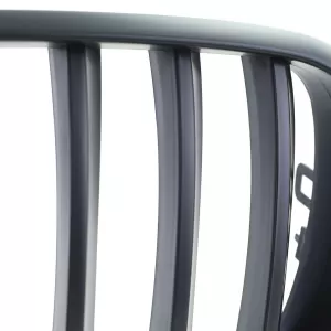 Sport grille Performance matte black suitable for BMW X5 E70 X6 E71 06-13