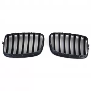 Sport grille Performance matte black suitable for BMW X5 E70 X6 E71 06-13