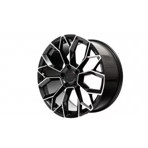 R21 WHEELS suitable for PORSCHE
