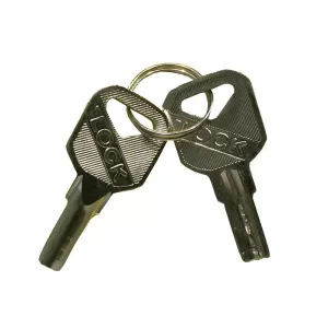 Antitheft Car Bar With 2 keys Extending 54.5-59cm Guard-image-6294812