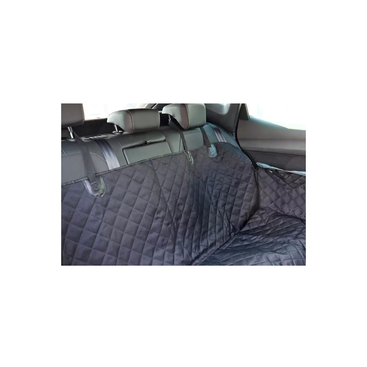 image-6298353