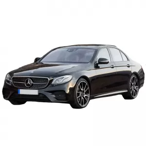Rear Bumper Protector suitable for Mercedes-Benz E-Class W213 16+ Sedan Steel-image-6298869
