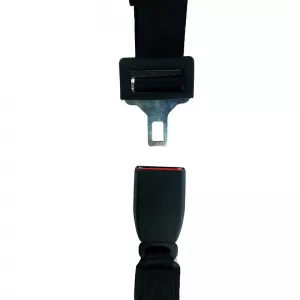 Seat Belt 2 Points Auto GS 20602 1 Piece-image-6301761