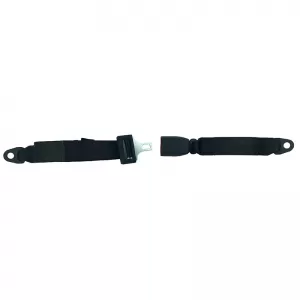 Seat Belt 2 Points Auto GS 20602 1 Piece-image-6301762