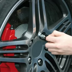 Wheel Nut Covers Chrome 17mm Set 20 Pcs 20755