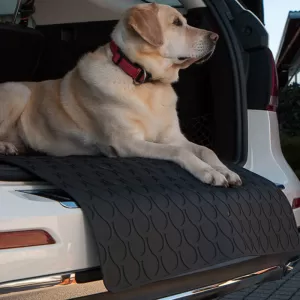Pex Gledring 1999 Doggy Mat 85x65cm Big-image-6302548
