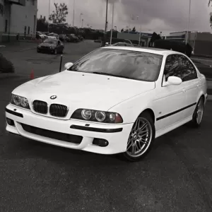 Front Bumper Fog Lamp Cover Side Grill suitable for BMW 5 E39 M5 M-Sport Design 95-03 Black Left & Right 2 Pieces-image-6302664