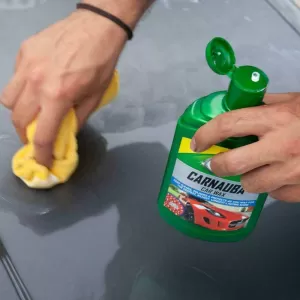 Polish & Protect Carnauba Turtle Wax 500ml 055850117-image-6303165