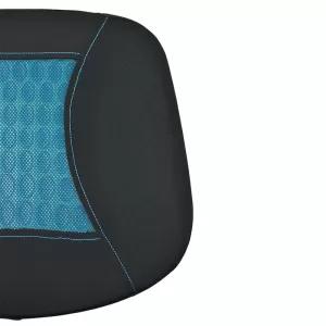 Back Support Anatomic / Orthopedic Cushion Gel 41x38x5.5cm Black / Blue 1 pc-image-6303890