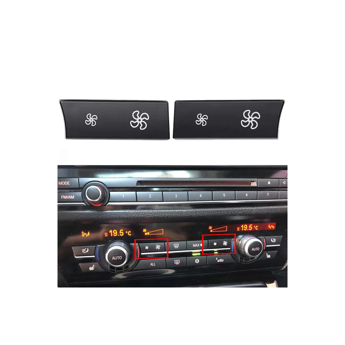 modal-image-6304871