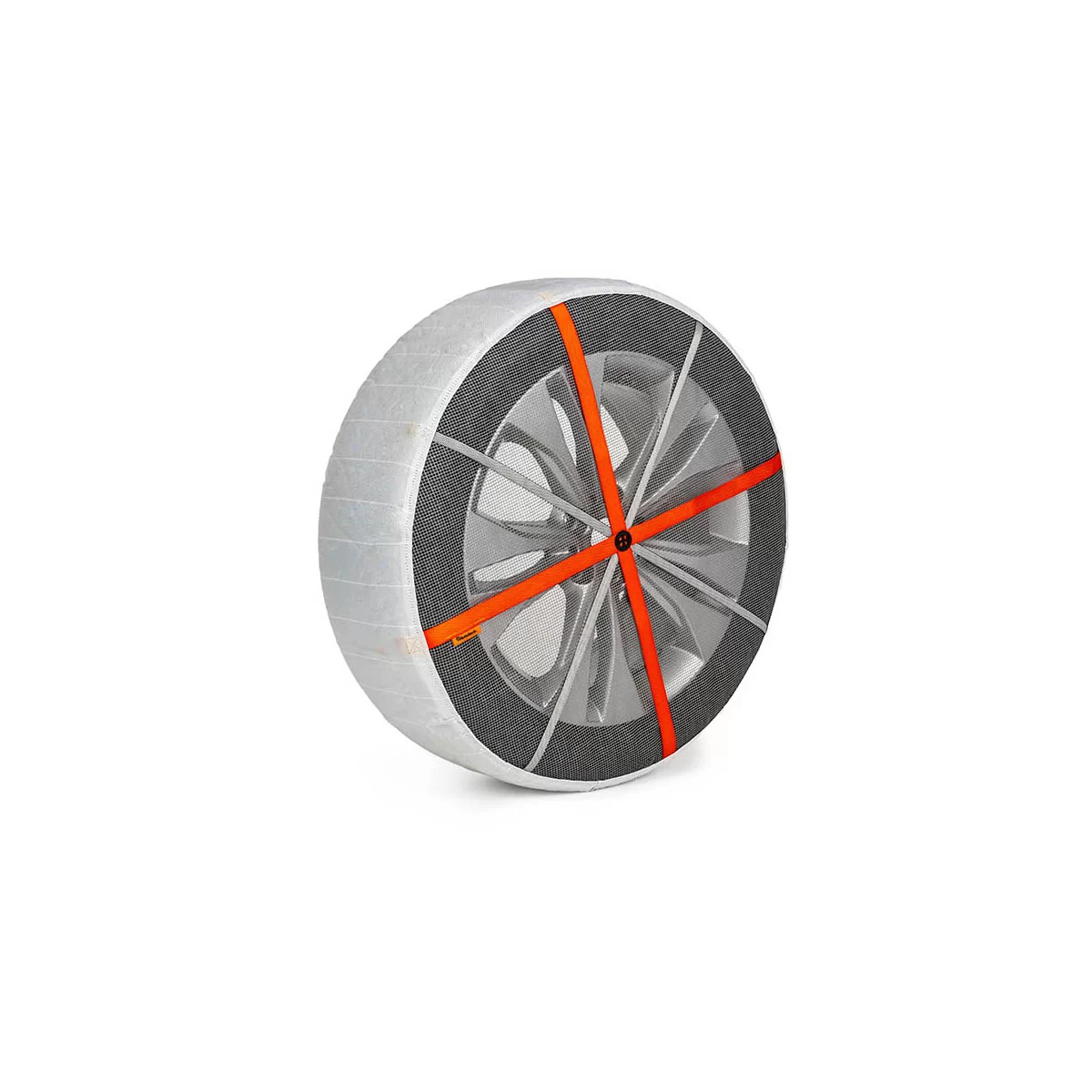 modal-image-6312567