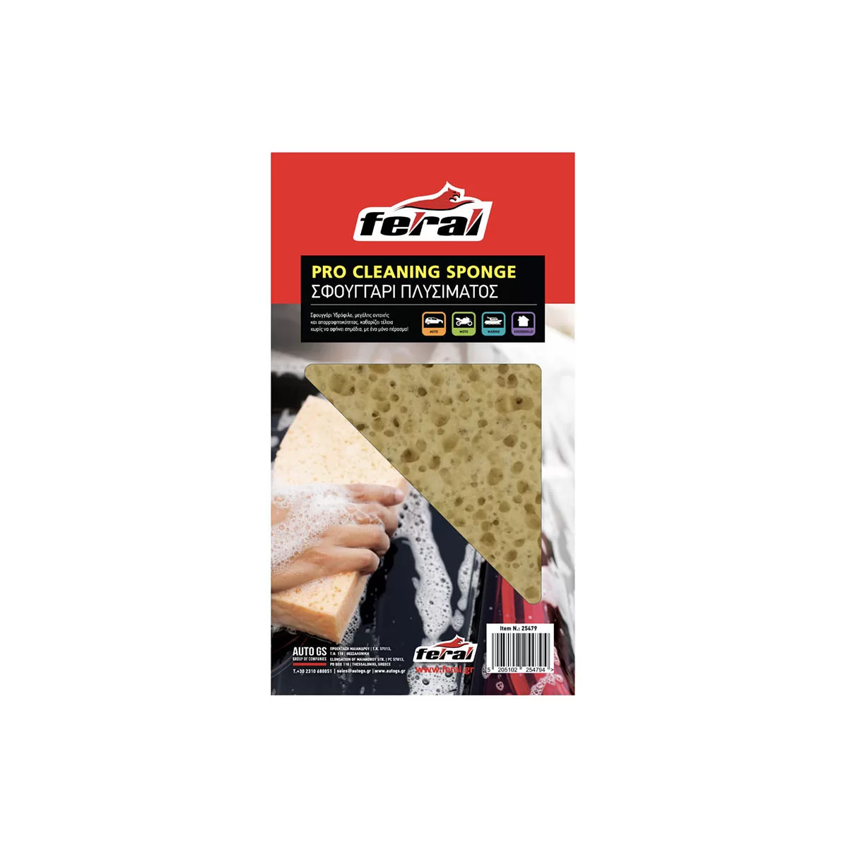 modal-image-6313977