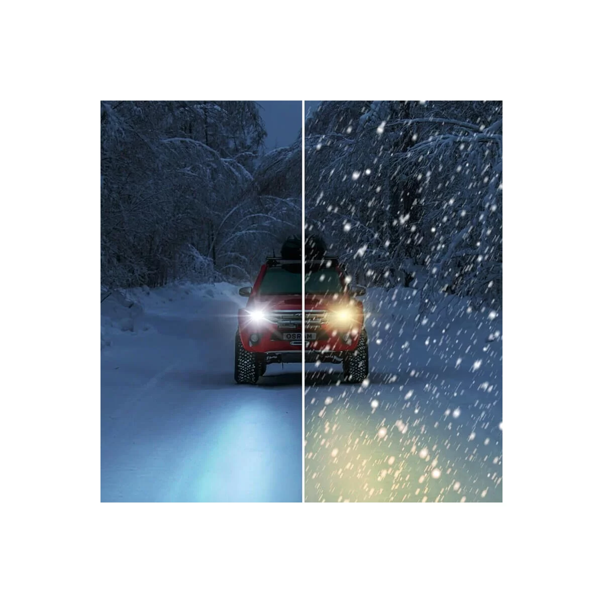 modal-image-6320210