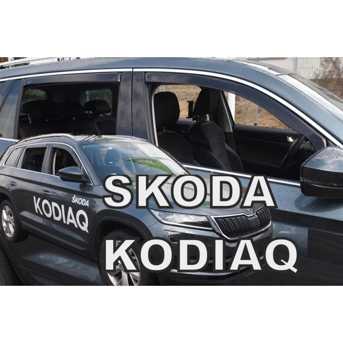 modal-image-6336140