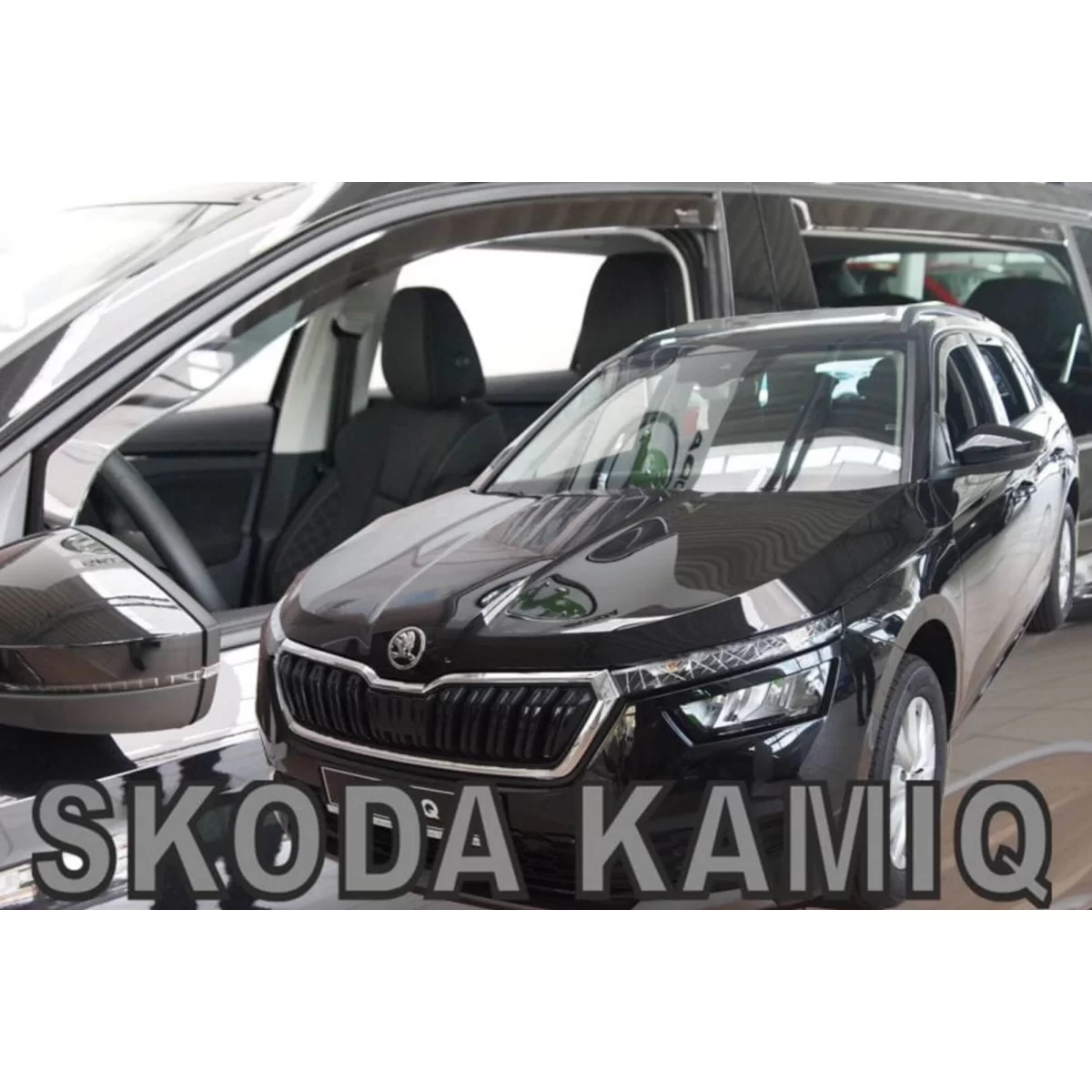modal-image-6336145